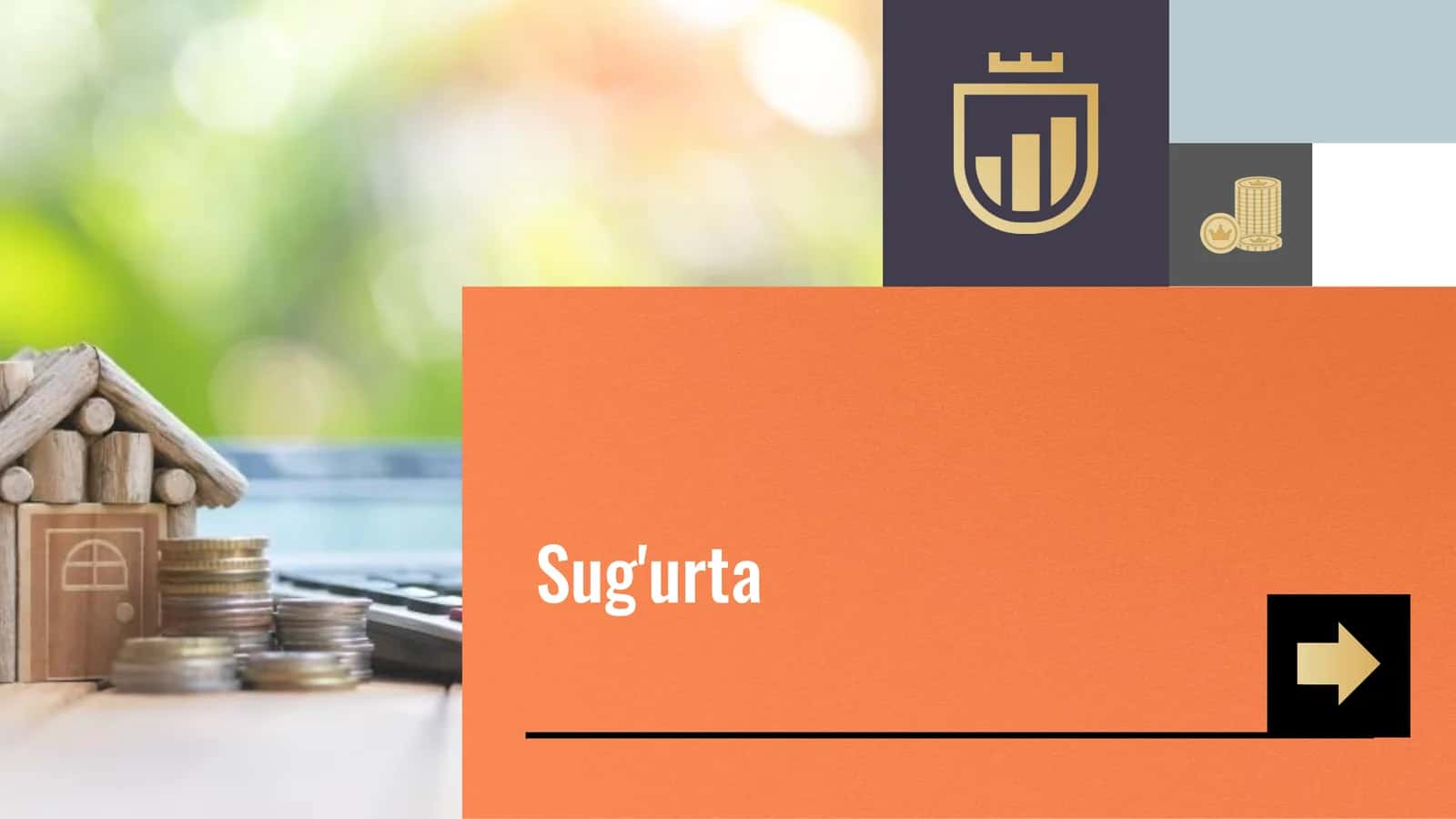 Sug'urta 1