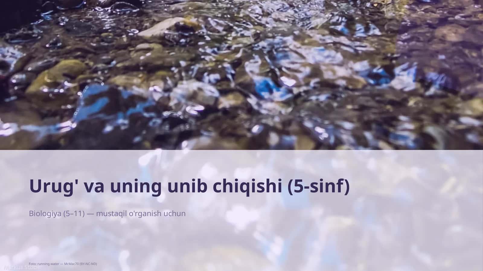 Urug' va uning unib chiqishi (5-sinf) 1