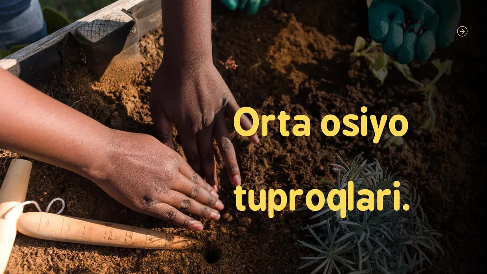 Orta osiyo tuproqlari 1