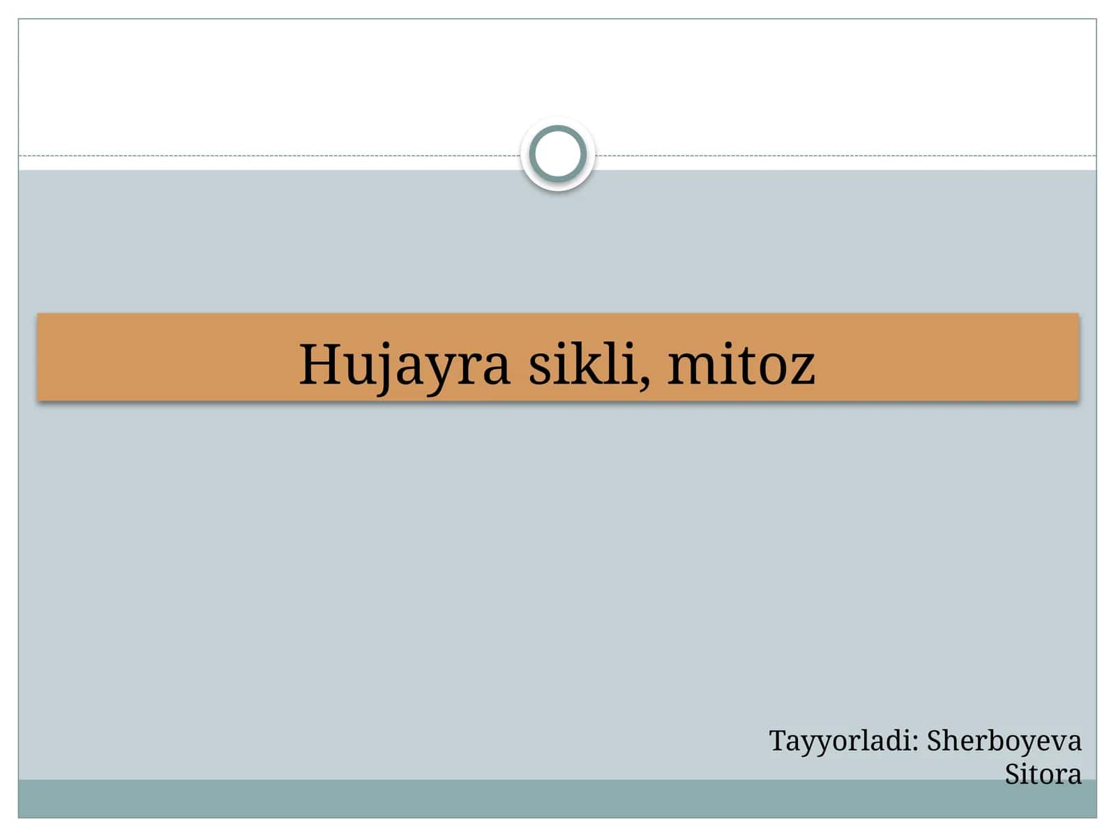 Hujayrasikli,mitoz 1