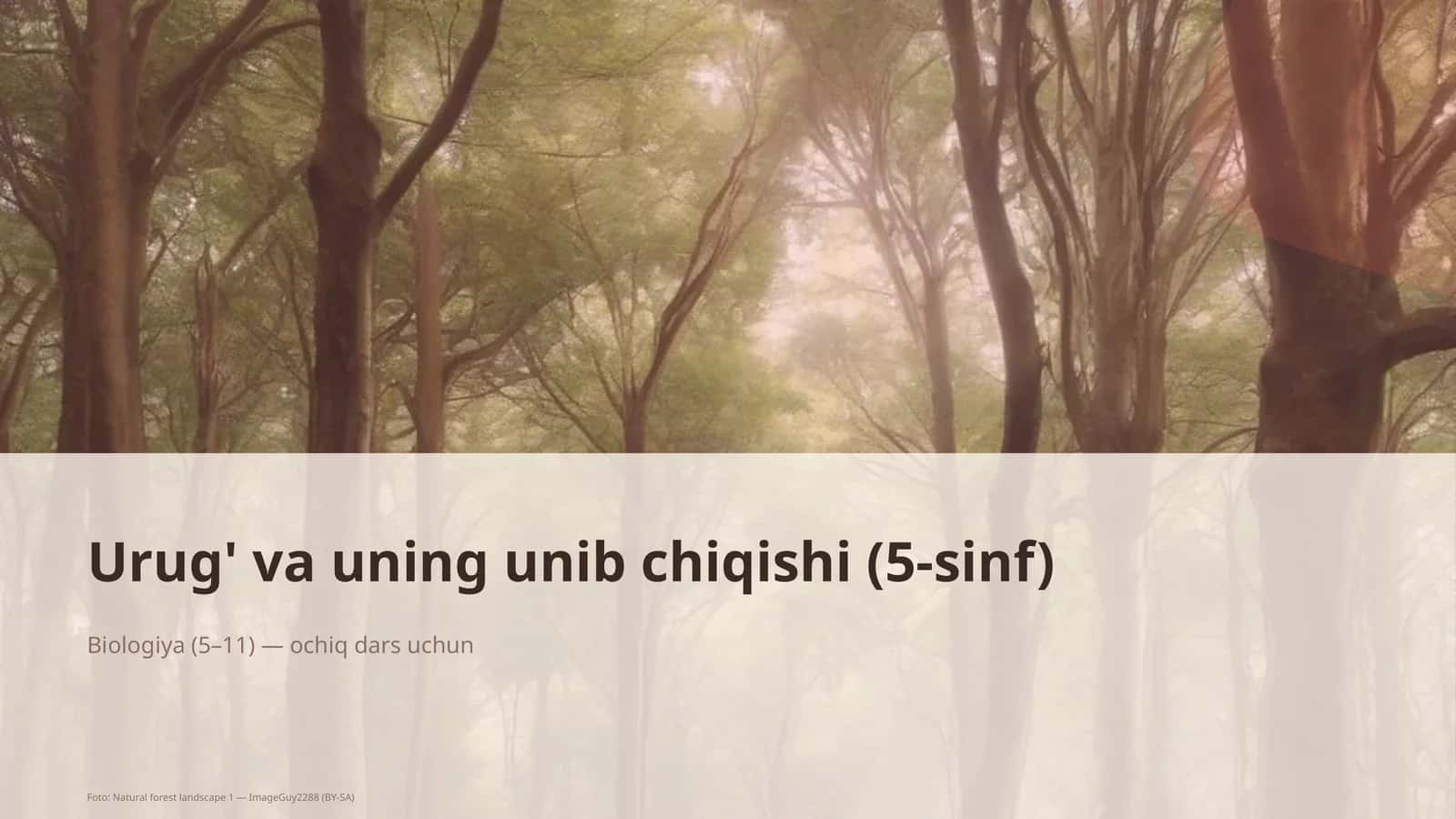 Urug' va uning unib chiqishi (5-sinf) 1