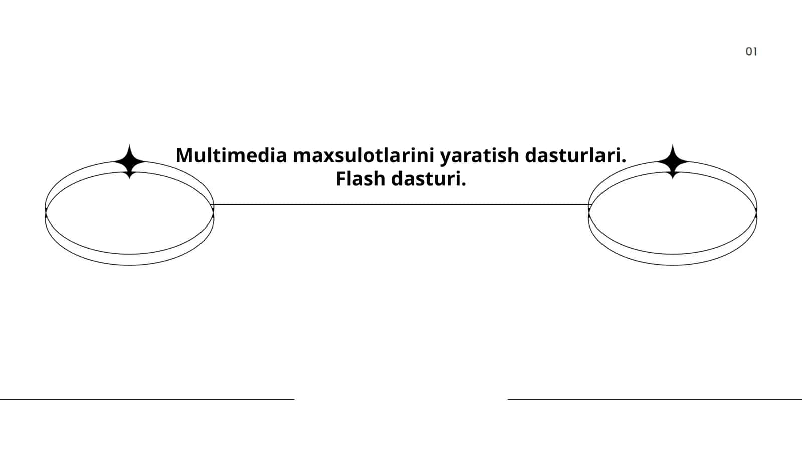 Flash dasturi 1