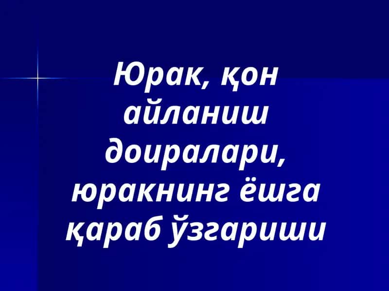 Юрак 1