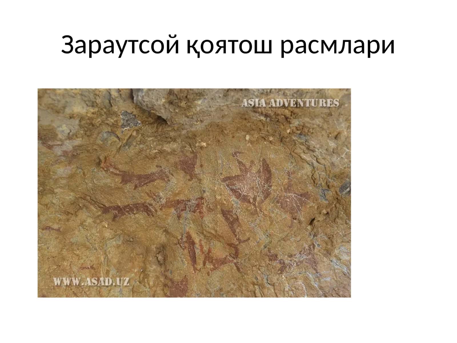 Зараутсой қоятош расмлари 1