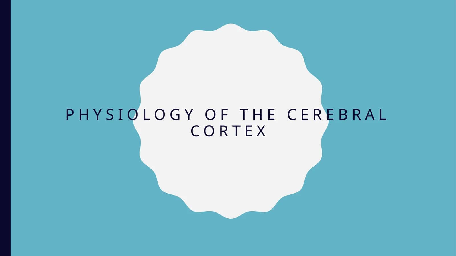 FUNKSIYALAR CEREBRAL CORTEX 1