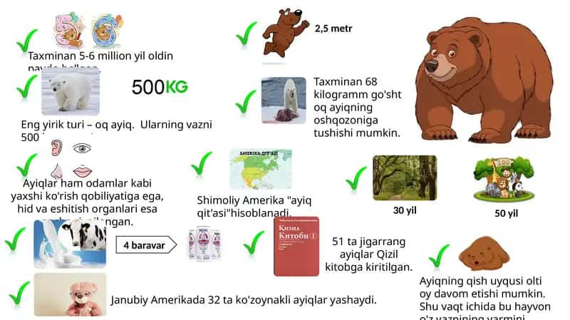 Ayiq infografika 1