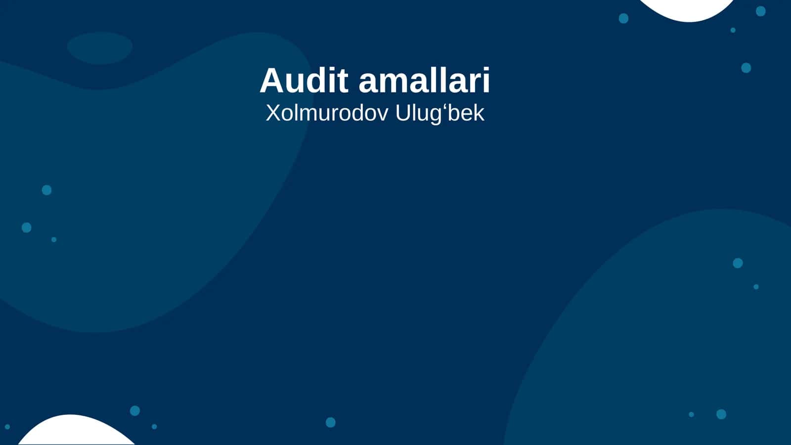 Audit amallari 1