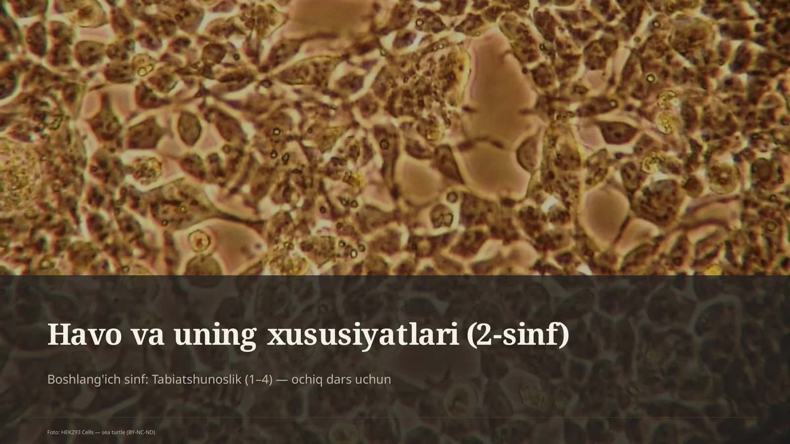 Havo va uning xususiyatlari (2-sinf) 1