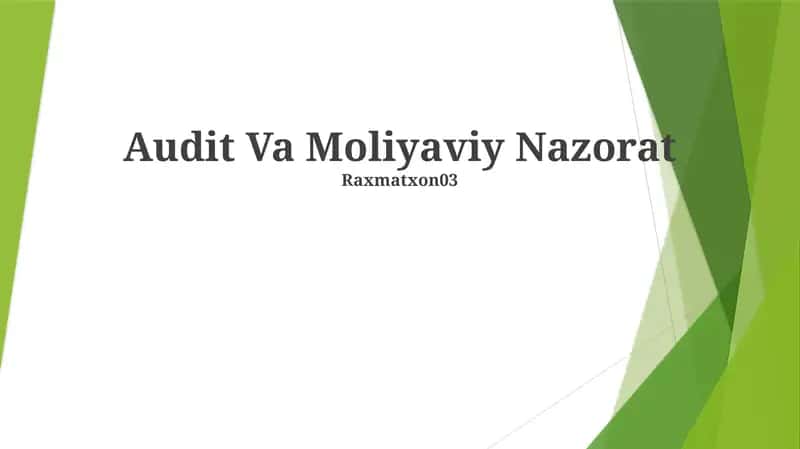Audit Va Moliyaviy Nazorat 1