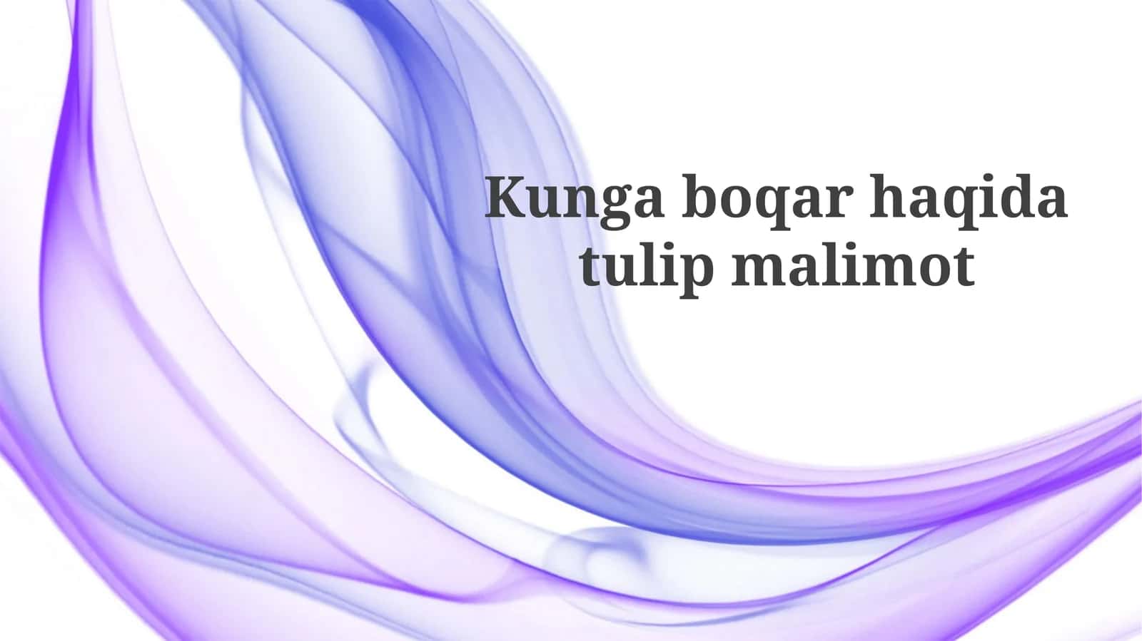 Lola piyozlarini ekish 1