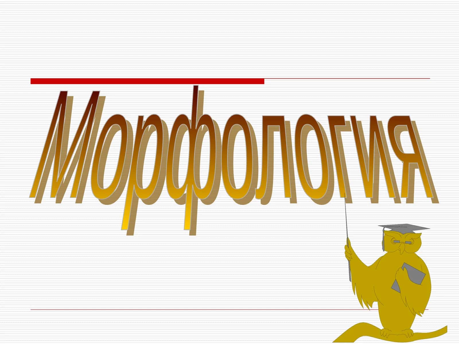 Морфология 1