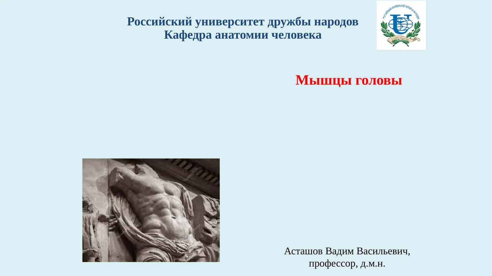 Мышцы головы 1