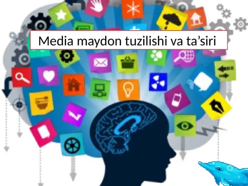 Media maydon tuzilishi va ta’siri 1