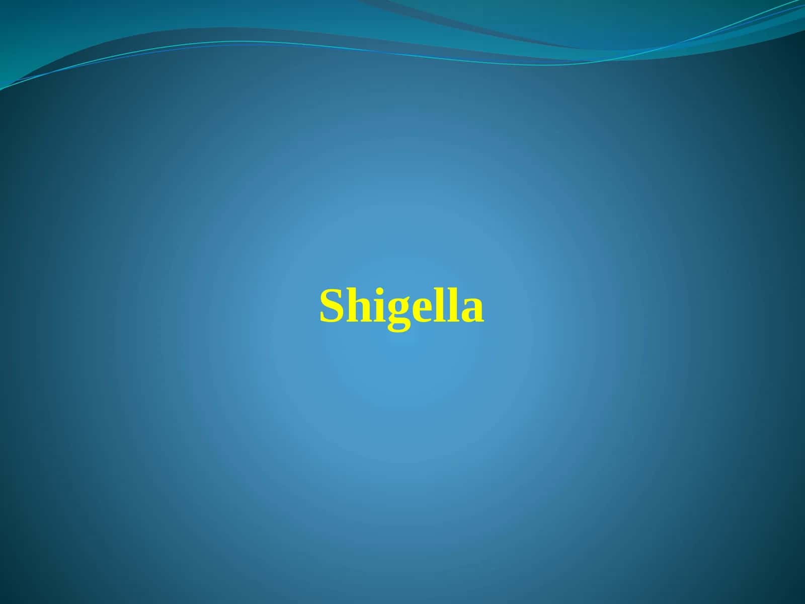Shigella 1