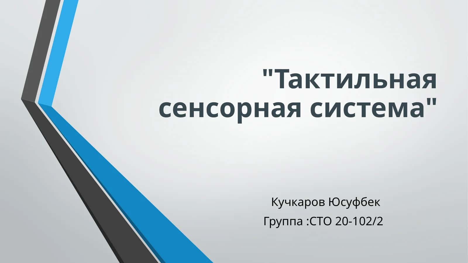 Тактильная сенсорная система 1