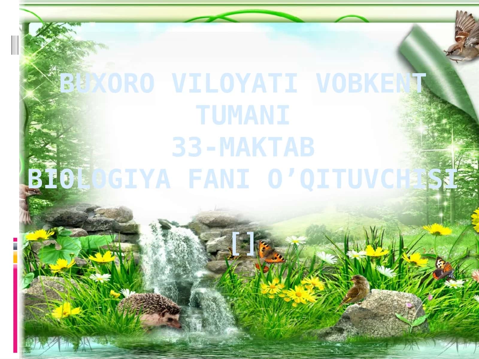 Laboratoriya mashg'uloti 1