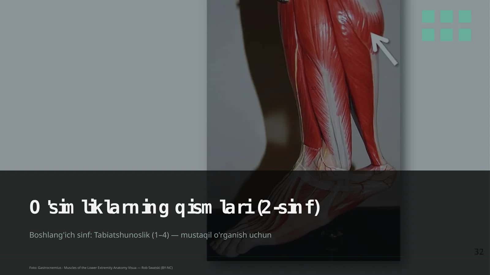 O'simliklarning qismlari (2-sinf) 1