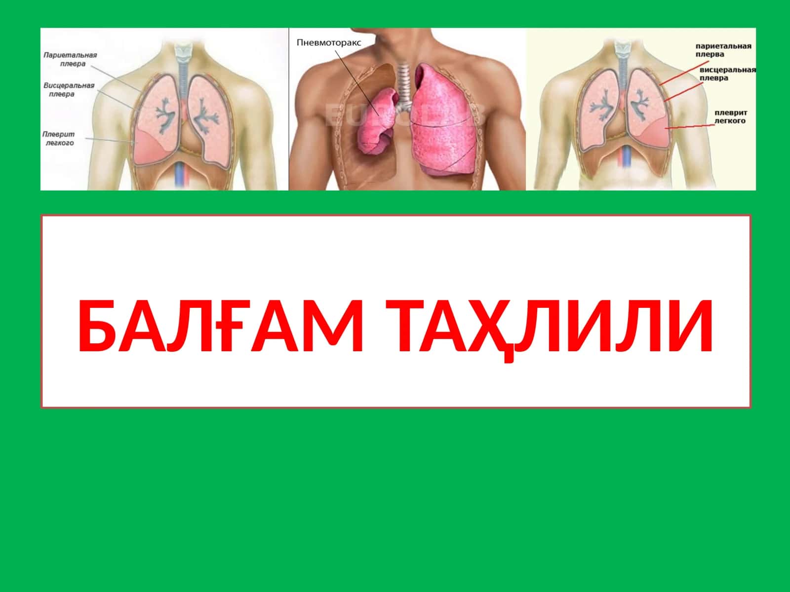 Балғам Таҳлили 1
