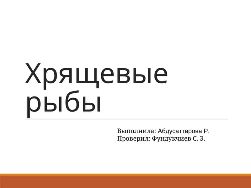 Хрящевые рыбы 1