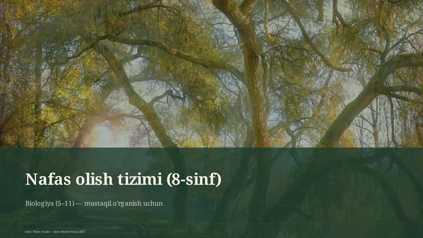 Nafas olish tizimi (8-sinf) 1
