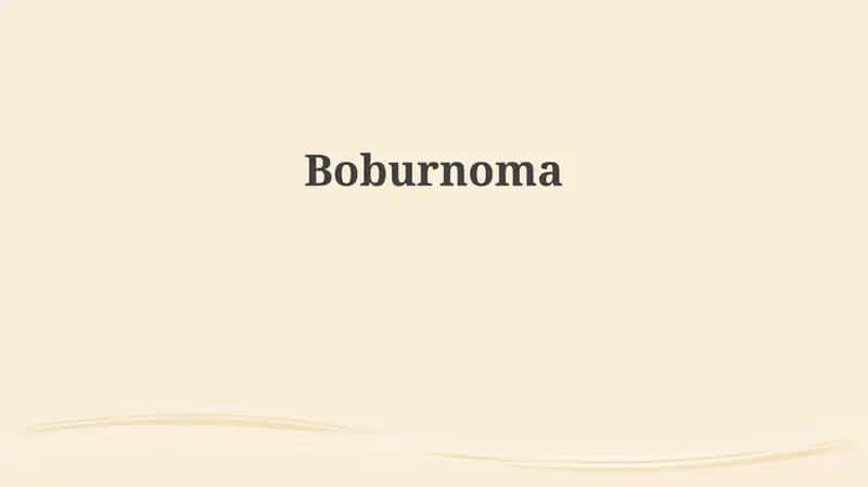 Boburnoma 1