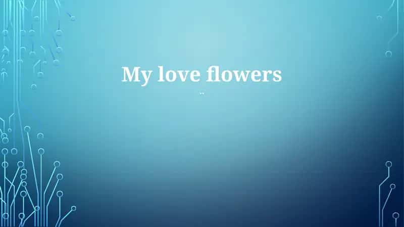 My love flowers 1