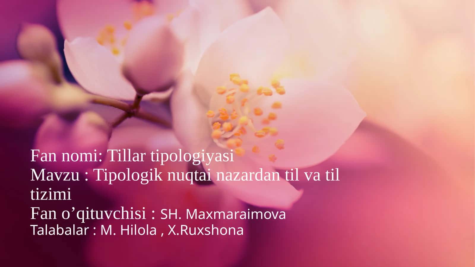 Tillar tipologiyasi 1