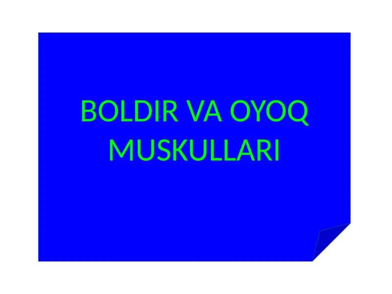 BOLDIR VA OYOQ MUSKULLARI 1