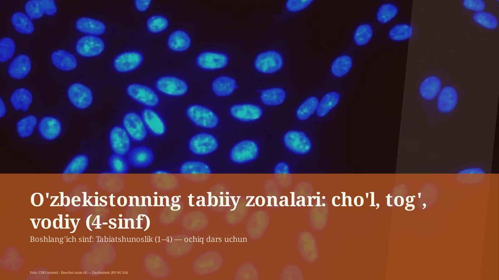 O'zbekistonning tabiiy zonalari: cho'l, tog', vodiy 1