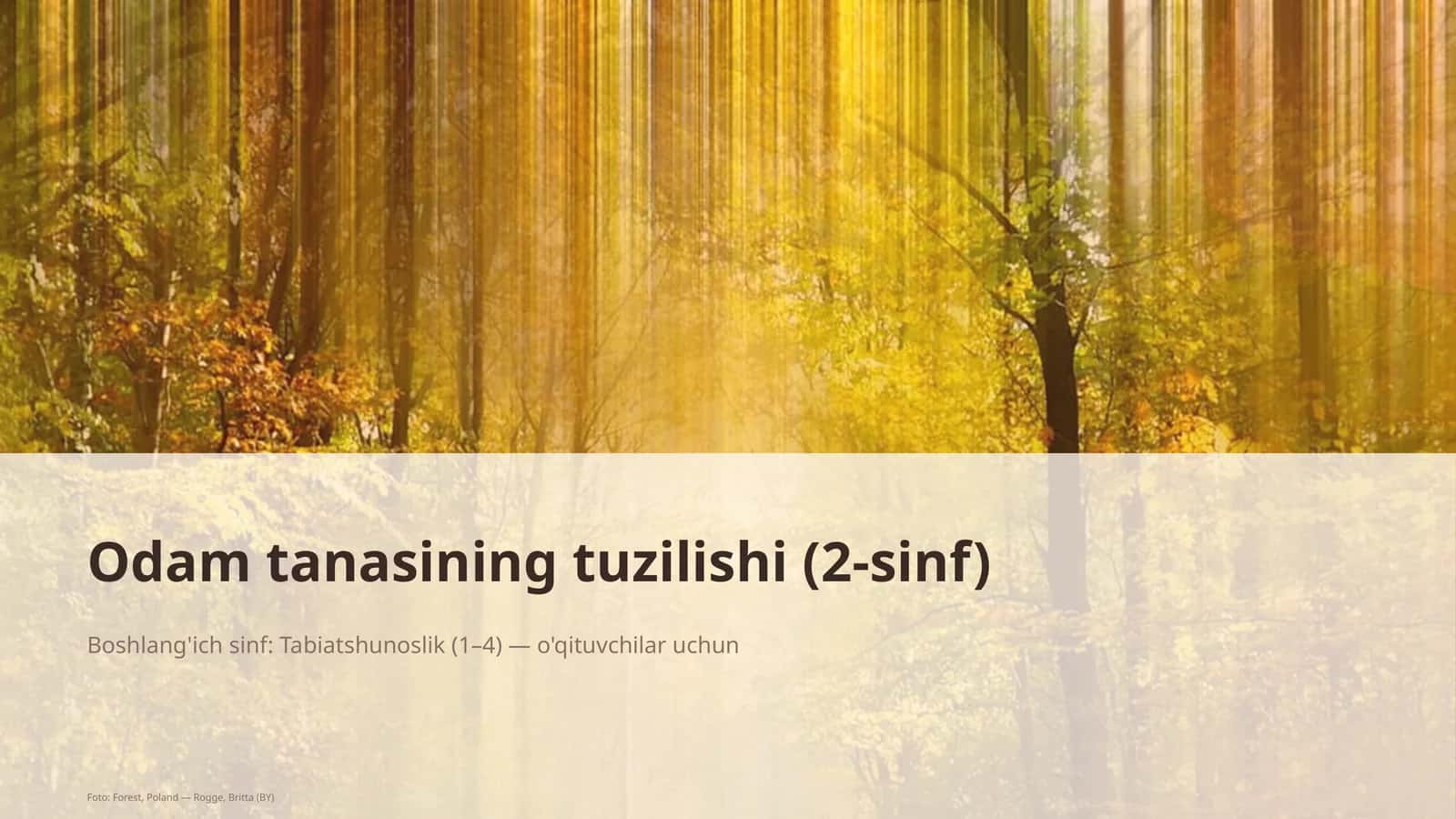 Odamlarin tuzilishi (2-sinf) 1