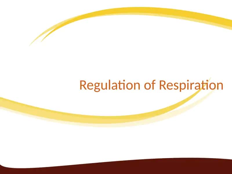 Regulation of Respiration 1
