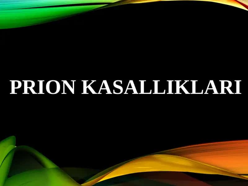 Prion kasalliklari 1