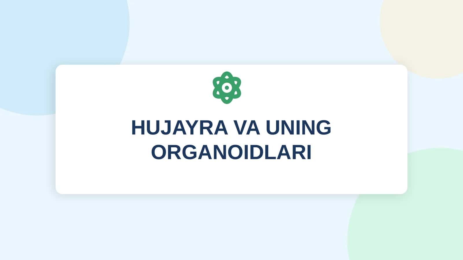 HUJAYRA VA UNING ORGANOIDLARI 1