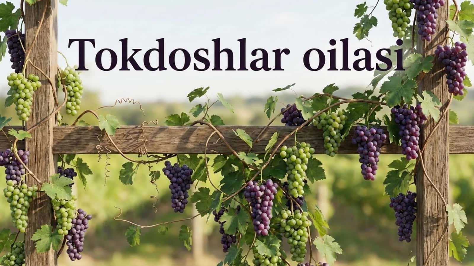 Tokdoshlar oilasi 1