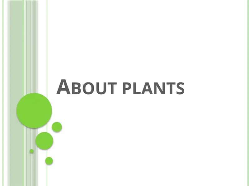 About plants 1