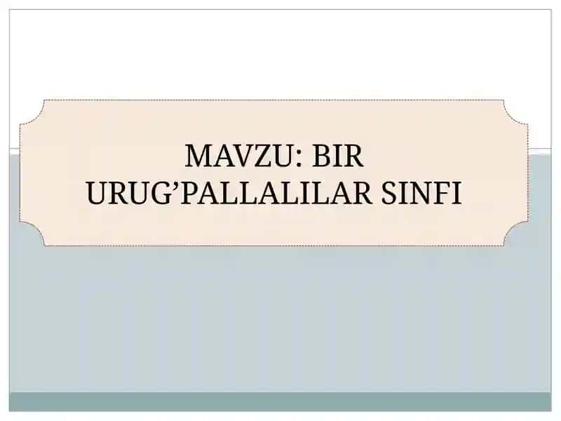 Bir Urug’Pallalilar Sinfi