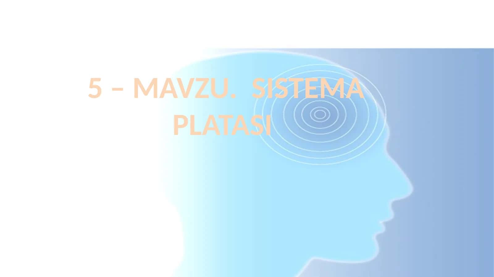 SISTEMA PLATASI 1