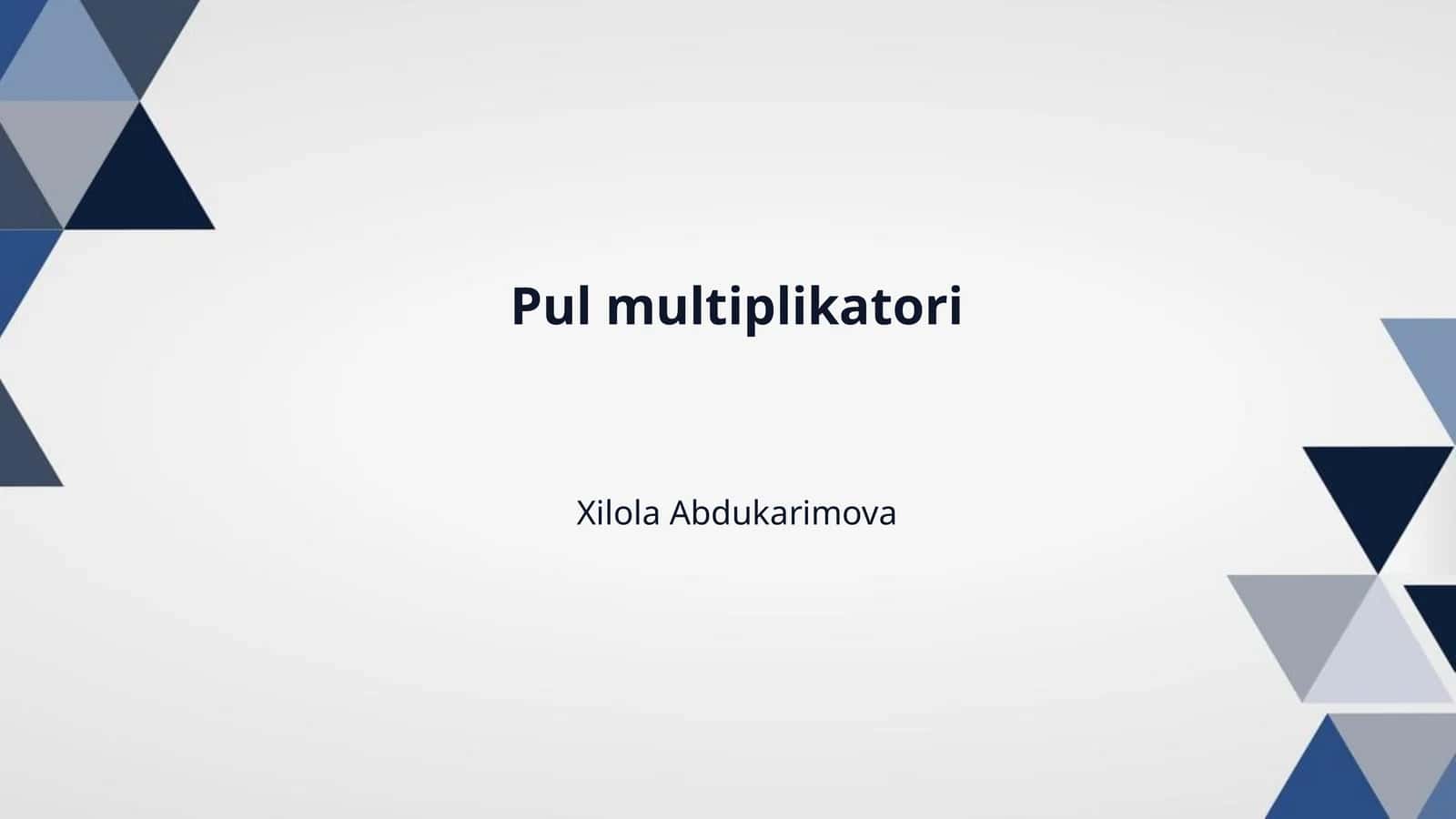 Pul multiplikatori 1