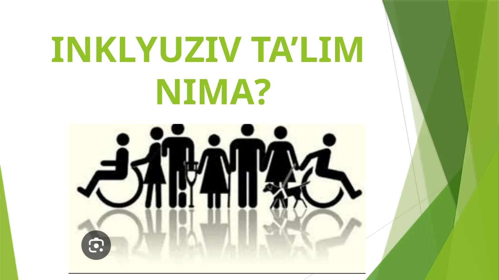 Inklyuziv ta'lim 1