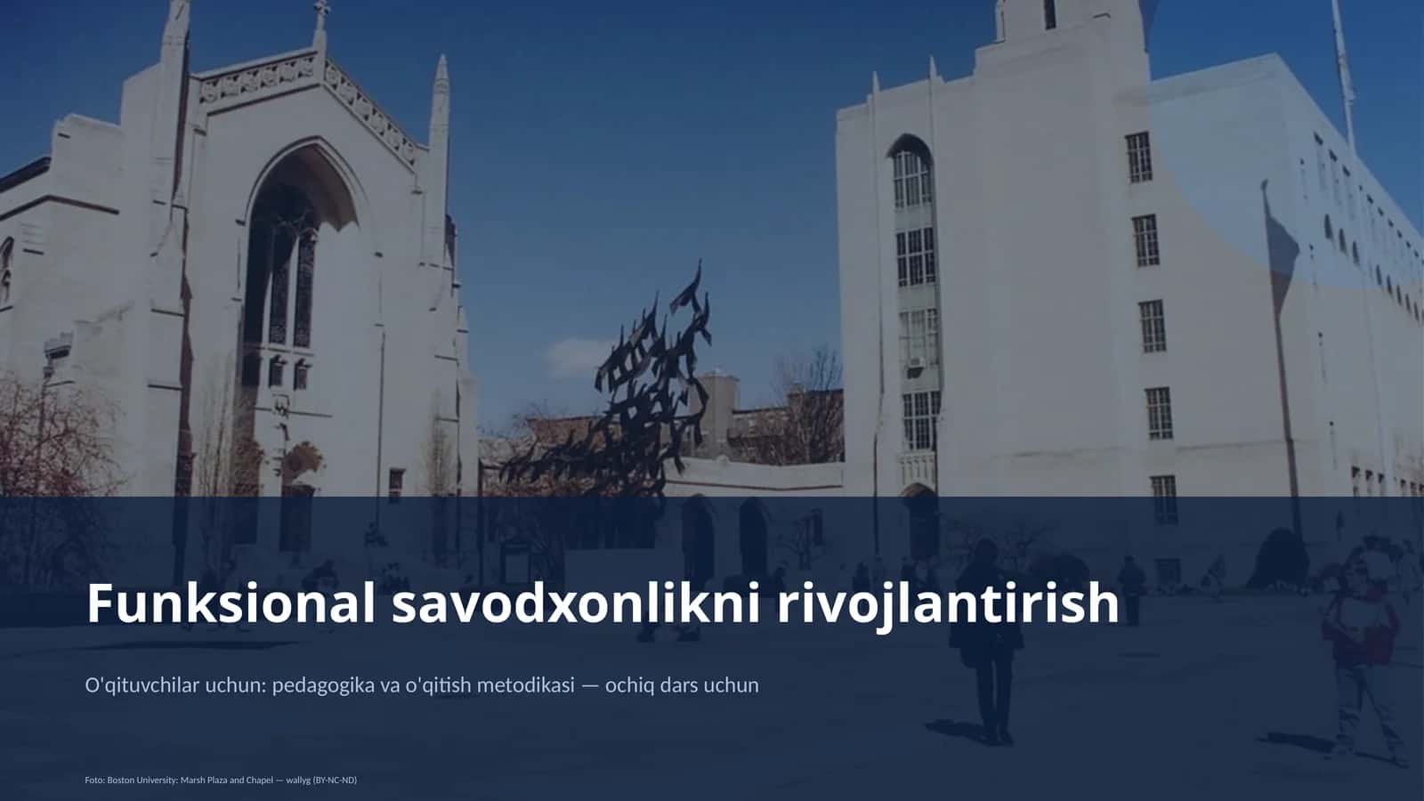 Funksional savodxonlikni rivojlantirish 1