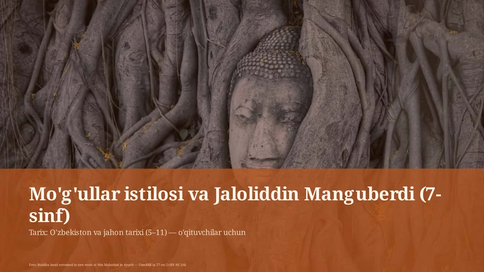Mo'g'ullar istilosi va Jaloliddin Manguberdi (7-sinf) 1