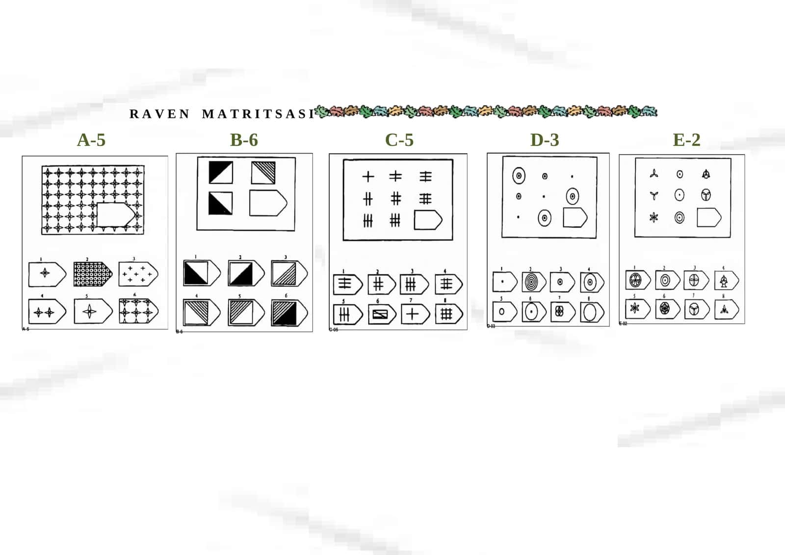 RAVEN MATRITSA 1