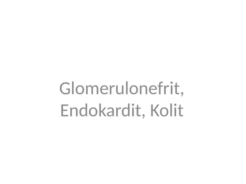 Glomerulonefrit 1