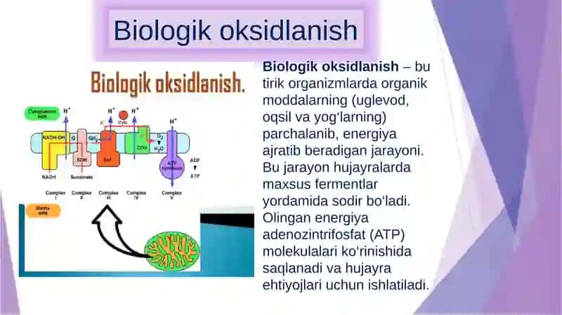 Biologik oksidlanish