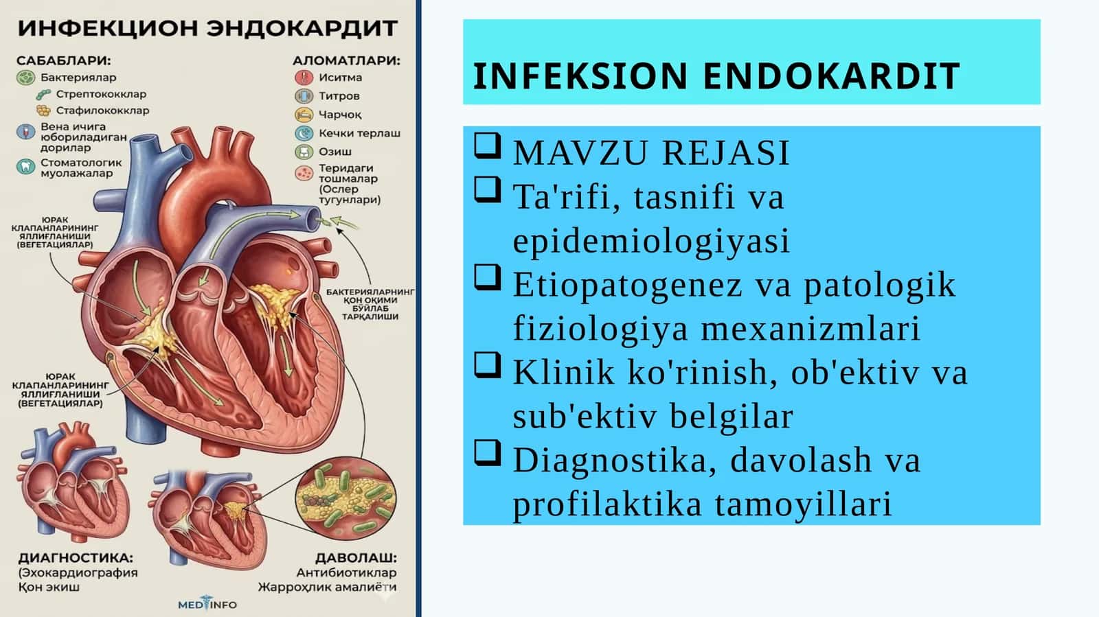 INFEKSION ENDOKARDIT PREZENTATSIYA 1