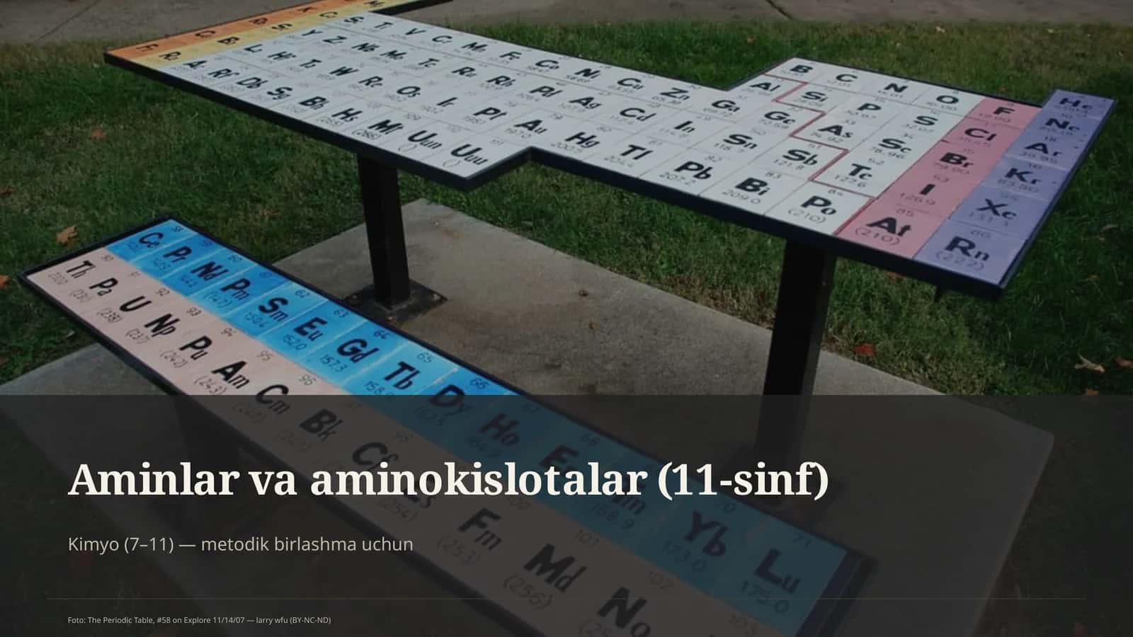 Aminlar va aminokislotalar (11-sinf) 1