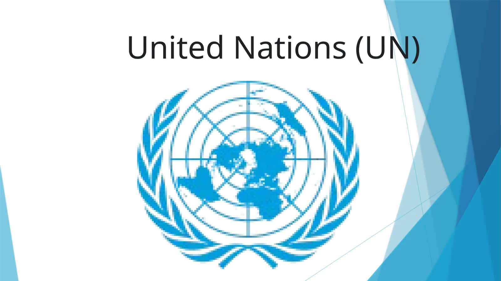 International organization 1