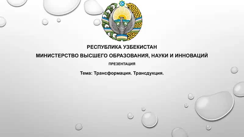 Трансформация и Трансдукция 1