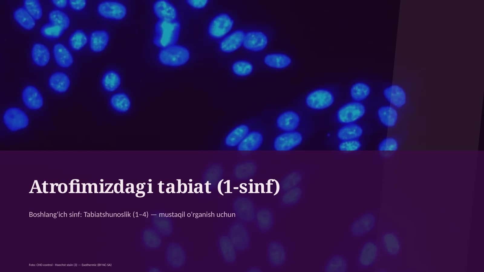 Atrofimizdagi tabiat (1-sinf) 1