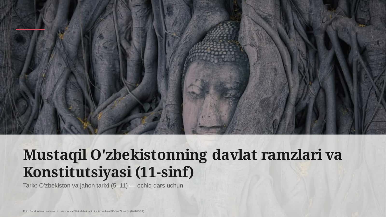 O'zbekistonning davlat ramzlari va Konstitutsiyasi (11-sinf) 1